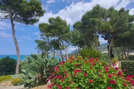 Cavallino Sea House Cefalù Εξωτερικό φωτογραφία